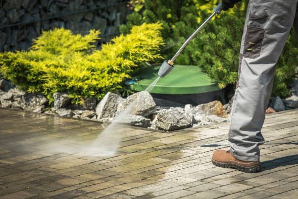 Best Dumpster Area Cleaning  in Center Hill, FL
