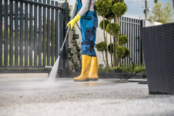 Best Dumpster Area Cleaning  in Center Hill, FL